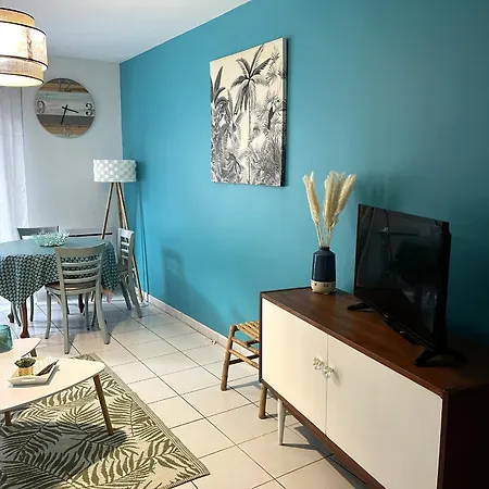 Apartment Charmant T2 2* Avec Patio, Centre-ville Et Plage A Pied, Fibre - Fr-1-539-45 *